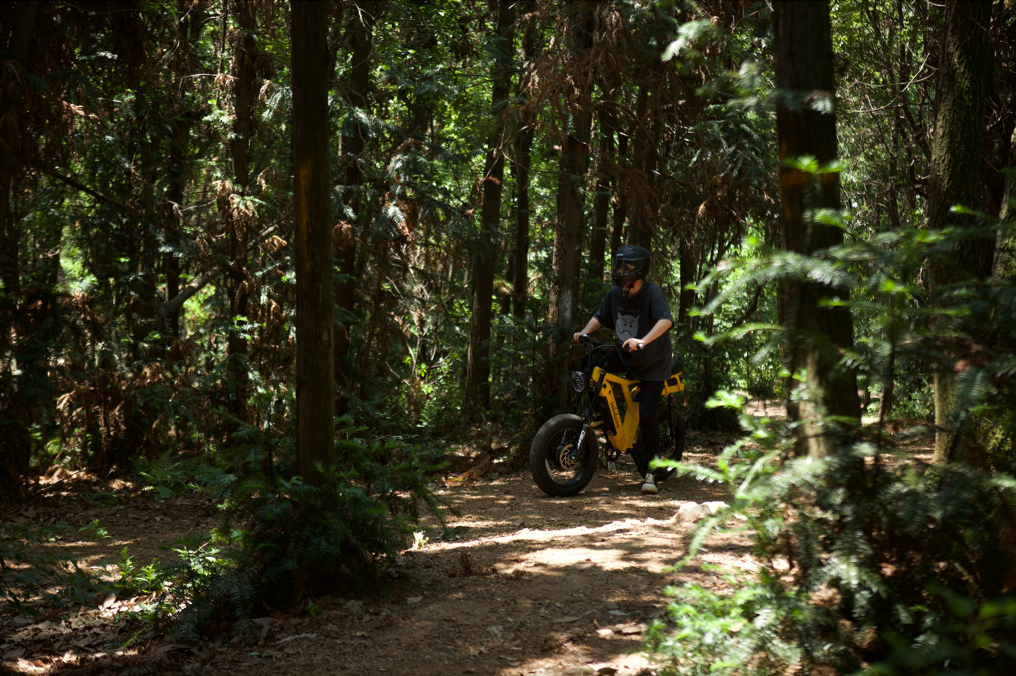 "10 Essential Ebike Maintenance Tips to Keep Your Bike in Top Condition"